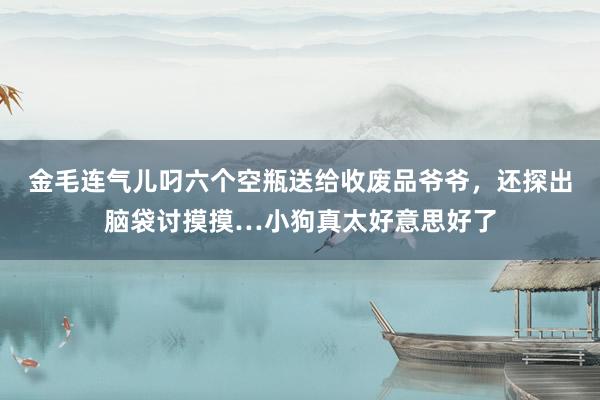 金毛连气儿叼六个空瓶送给收废品爷爷，还探出脑袋讨摸摸…小狗真